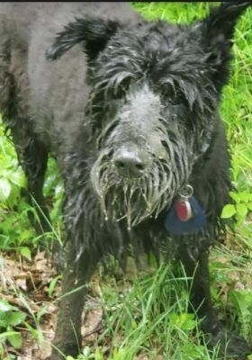 DIXIE
