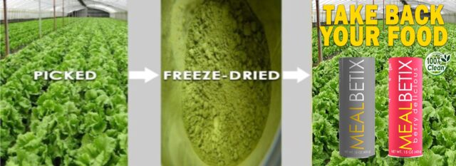 freeze-dried1