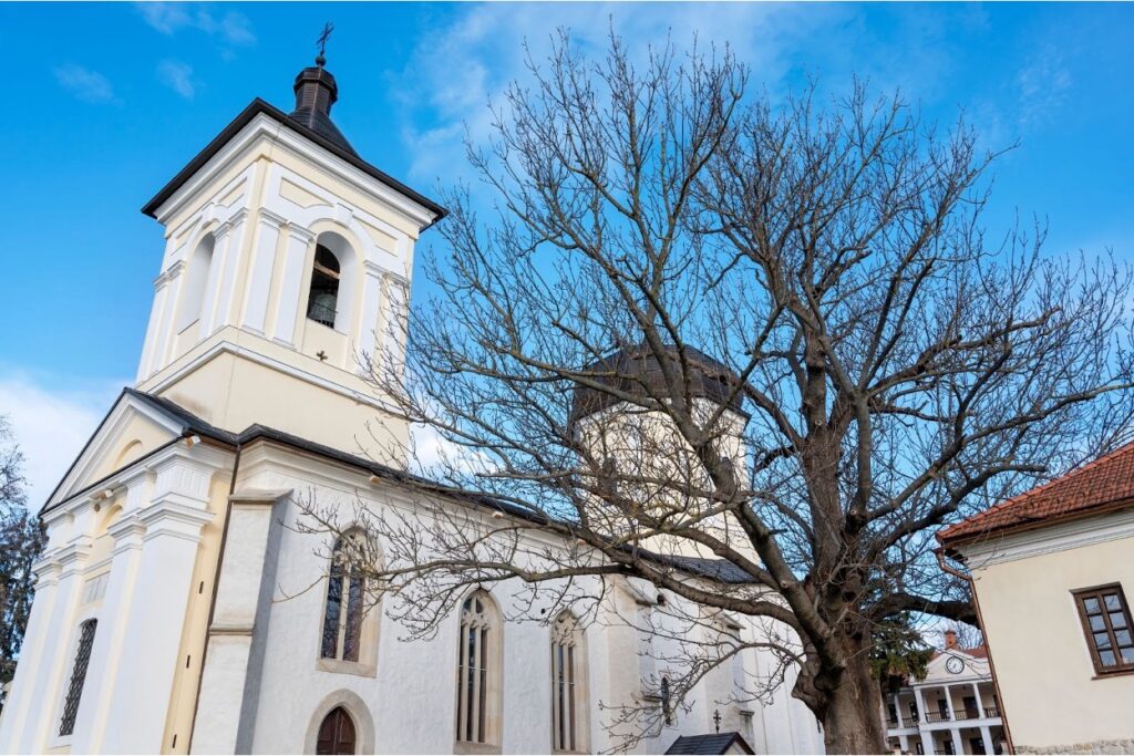 A white stone church with a bell tower surrounded by bare trees under a clear blue sky