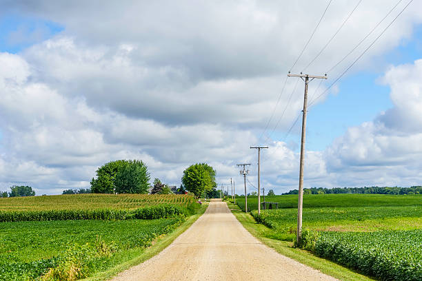 Power lines and utility poles run along a rural dirt road between cornfields, typical infrastructure served by a 501(c)(12) rural electric cooperative.