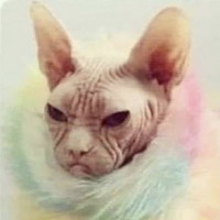 Profile photo of KareBear