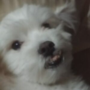 Profile photo of Kury Freedom