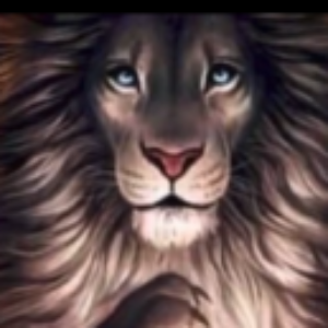 Profile photo of Jai WWG1WGA