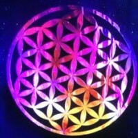 Profile photo of Anita