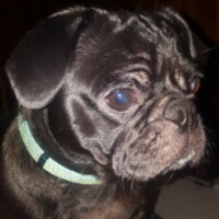 Profile photo of Jeanie