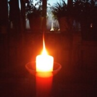 Profile photo of Jen