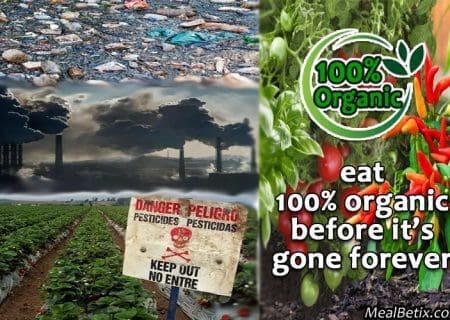 eat-organic