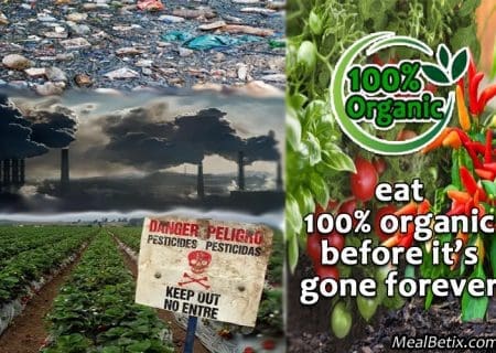 eat-organic