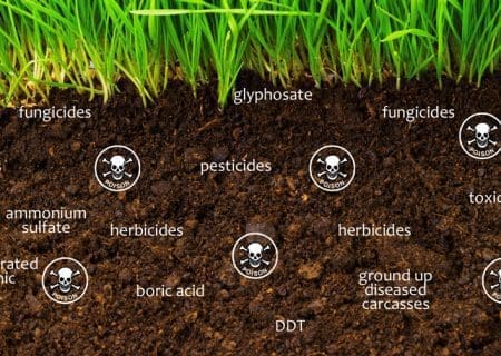 toxic-soil